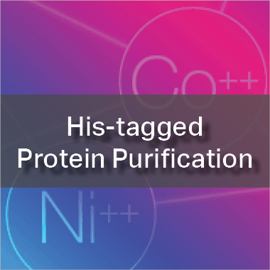 His-Tagged Protein Purification