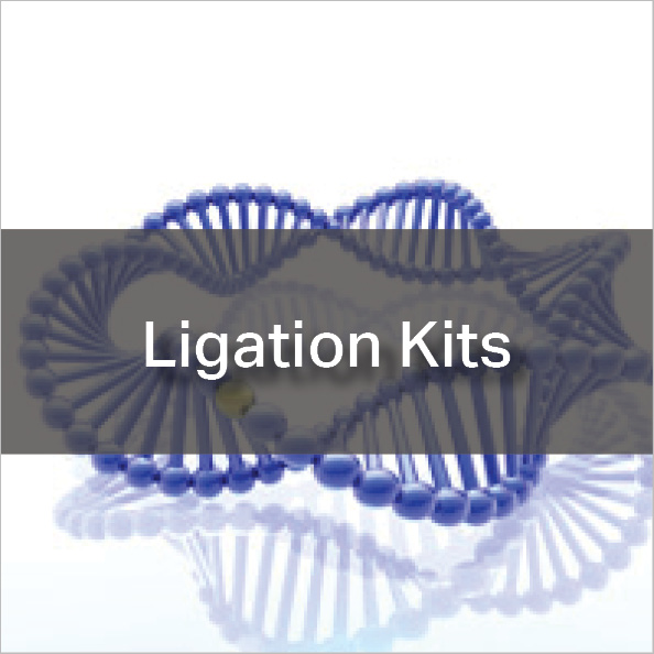 Ligation Kits