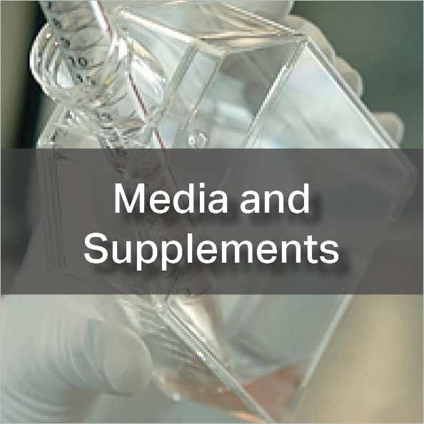 Media and Supplements