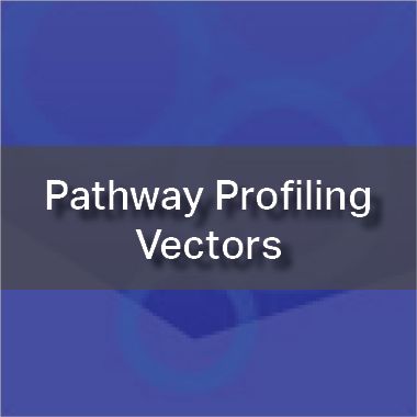 Pathway Profiling Vectors