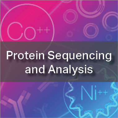 Protein Sequencing & Analysis