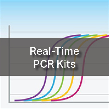 Real-Time PCR Kits