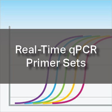 Real-Time qPCR Primer Sets