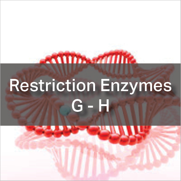 Restriction Enzymes G-H