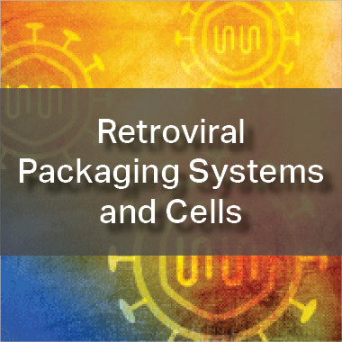 Retroviral Packaging Systems and Cells