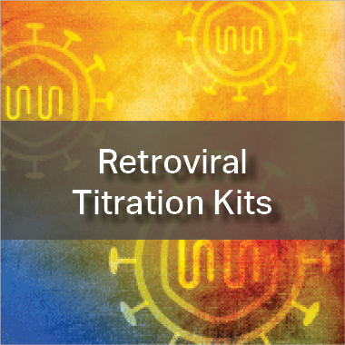 Retroviral Titration Kits
