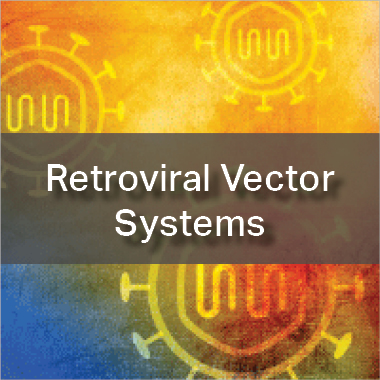Retroviral Vector Systems