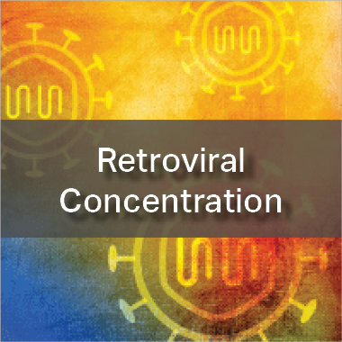 Retrovirus Concentration