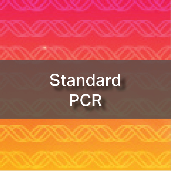 Standard PCR