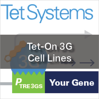Tet-On 3G Cell Lines