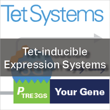 Tet-inducible Expression Systems