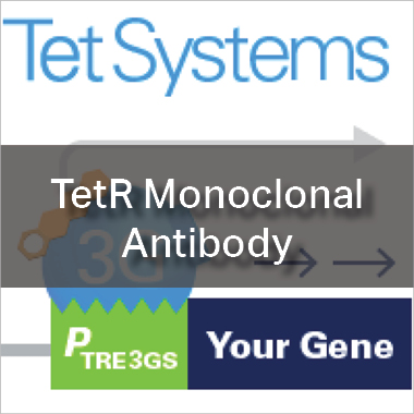 TetR Monoclonal Antibody