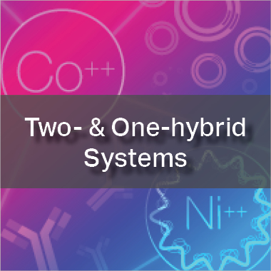 Yeast Hybrid Systems