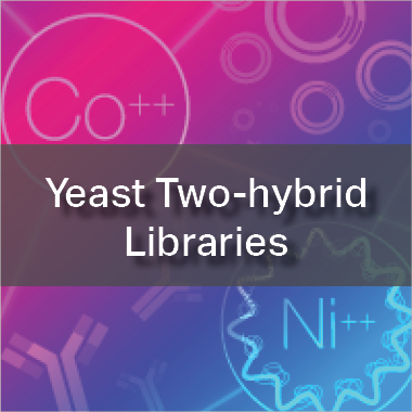 Yeast Two-hybrid Libraries