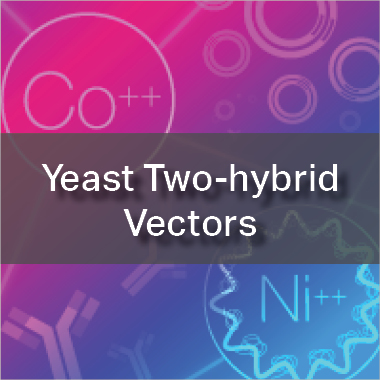 Yeast Two-hybrid Vectors