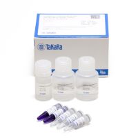 CellAmp Direct RNA Prep Kit for qPCR or Protein Analysis