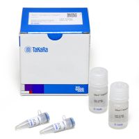 Xfect Transfection Reagent