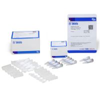 SMARTer PCR cDNA Synthesis Kit