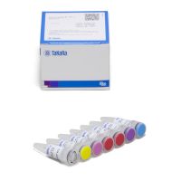 Advantage HF 2 PCR Kit
