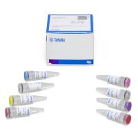Advantage 2 PCR Kit