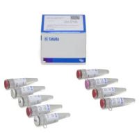 Terra PCR Direct Polymerase Mix
