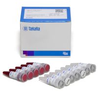 Terra PCR Direct Red Dye Premix