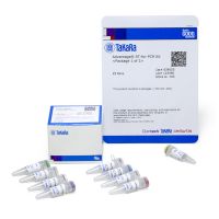 Advantage RT-for-PCR Kit
