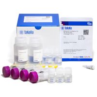 AAVpro Purification Kit (All Serotypes)