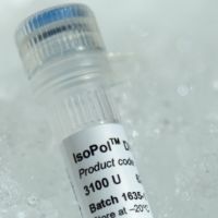 IsoPol DNA Polymerase