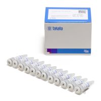 PrimeScript Two Step RT-PCR Kit