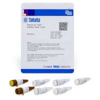 Premix Ex Taq DNA Polymerase (Perfect Real Time)