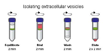Rapid, pure and concentrated purification of extracellular vesicles from biofluids
