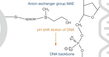 Plasmid DNA purification - The Macherey-Nagel Way