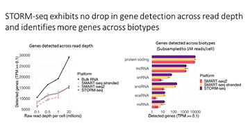 Taking single-cell RNA-seq by STORM