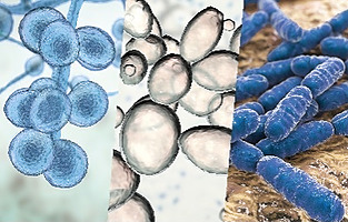 Webinar: Macherey-Nagel Microbial DNA - Purify the easy way!