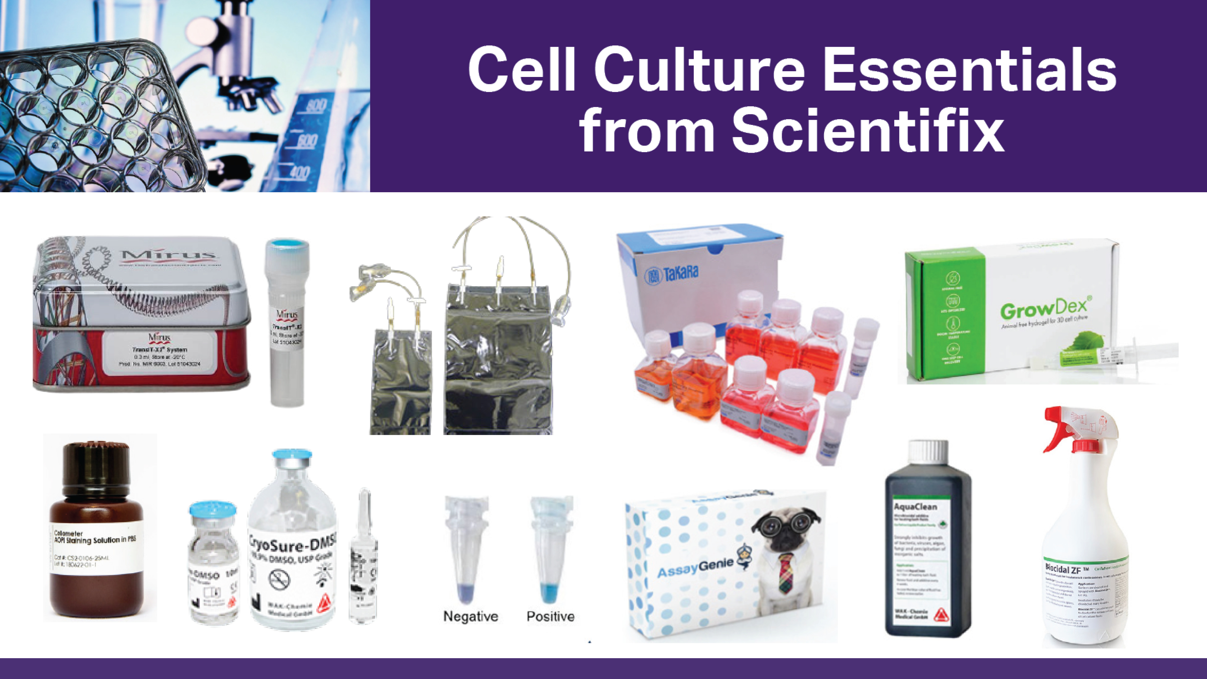 Cell Culture Essentials 