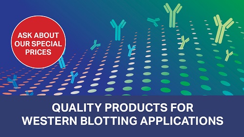 Quality products for Western Blotting applications