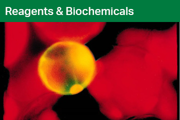 Reagents and Biochemicals