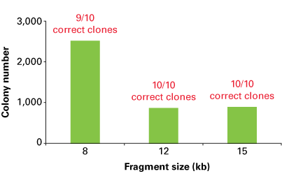 The In-Fusion HD Cloning System has been optimized for cloning large fragments