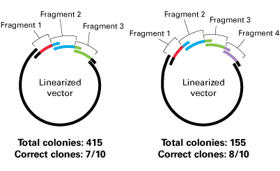 The In-Fusion HD Cloning System has an improved capability for cloning multiple fragments in a single reaction