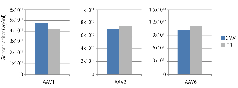 Titer measurement of AAV by real-time PCR using ITR and CMV promoter targets