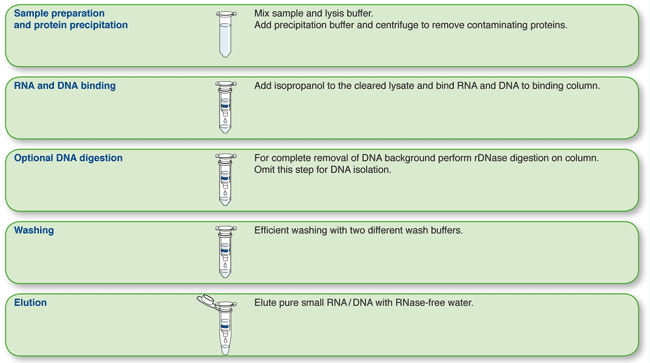 NucleoSpin miRNA Plasma procedure